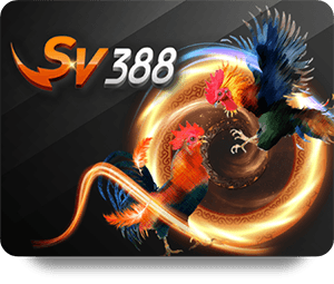 Hi88 Cá Độ Cường: Phân Tích Tỷ Lệ Cược Trong Trò Chơi